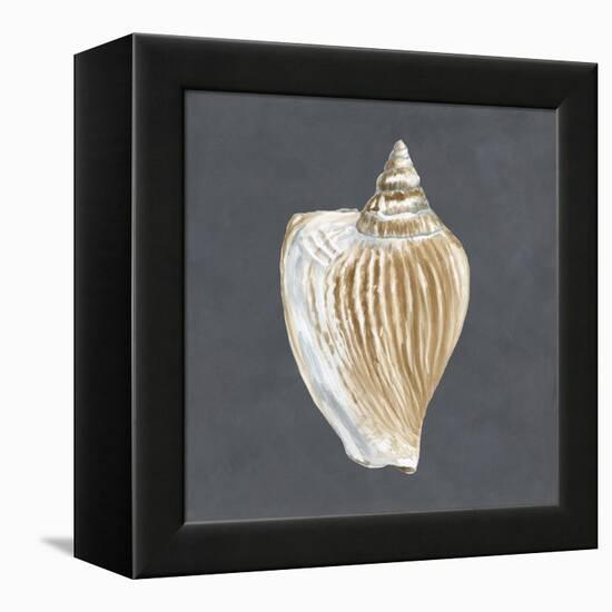 Shell on Slate VI-Megan Meagher-Framed Stretched Canvas