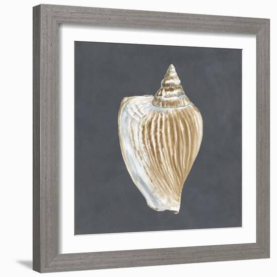 Shell on Slate VI-Megan Meagher-Framed Art Print