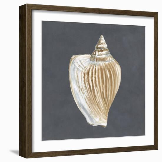 Shell on Slate VI-Megan Meagher-Framed Art Print