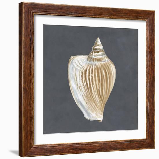 Shell on Slate VI-Megan Meagher-Framed Art Print