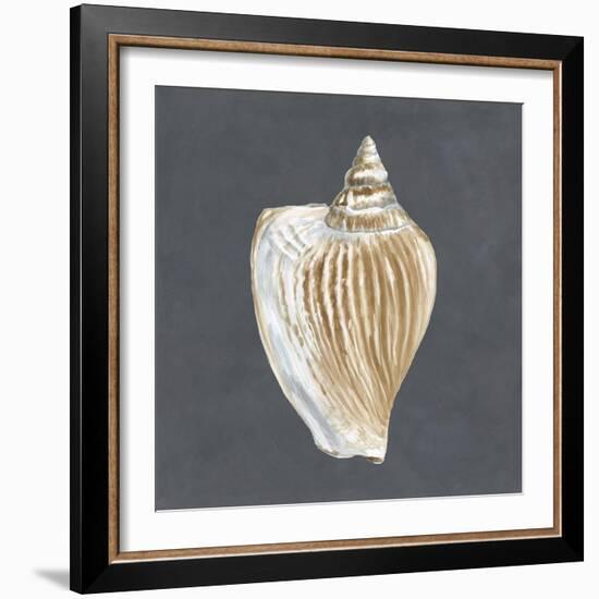 Shell on Slate VI-Megan Meagher-Framed Art Print