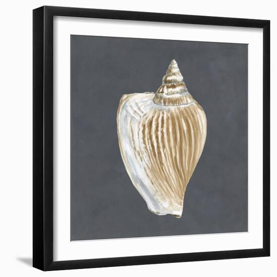 Shell on Slate VI-Megan Meagher-Framed Art Print