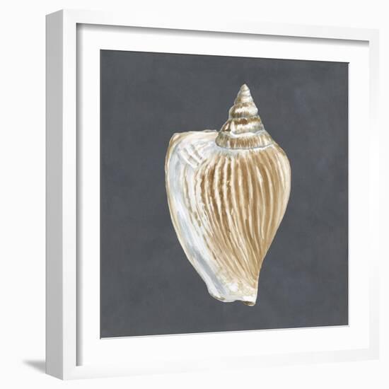 Shell on Slate VI-Megan Meagher-Framed Art Print