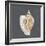 Shell on Slate VI-Megan Meagher-Framed Art Print