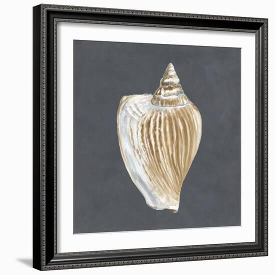 Shell on Slate VI-Megan Meagher-Framed Art Print