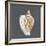 Shell on Slate VI-Megan Meagher-Framed Art Print