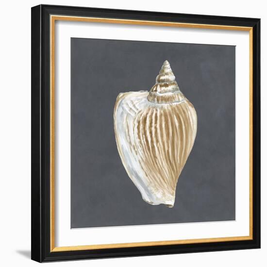 Shell on Slate VI-Megan Meagher-Framed Art Print