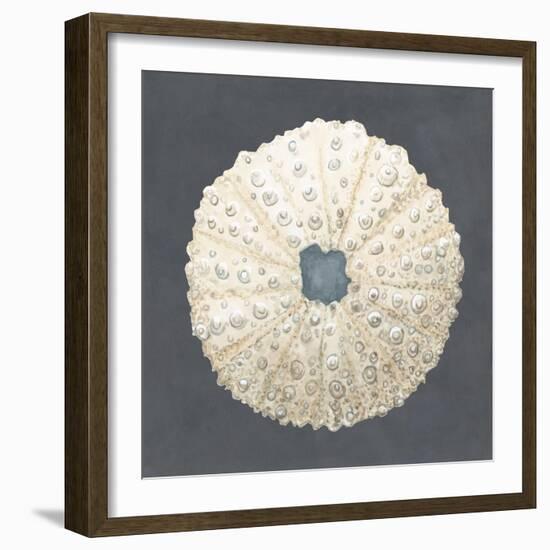 Shell on Slate VII-Megan Meagher-Framed Art Print