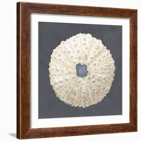 Shell on Slate VII-Megan Meagher-Framed Art Print