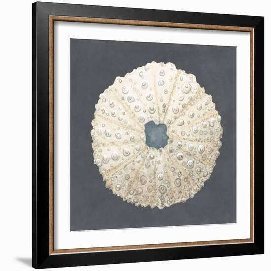 Shell on Slate VII-Megan Meagher-Framed Art Print