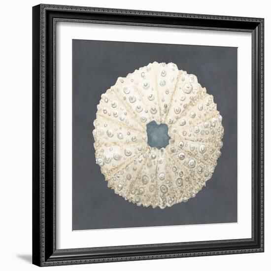 Shell on Slate VII-Megan Meagher-Framed Art Print