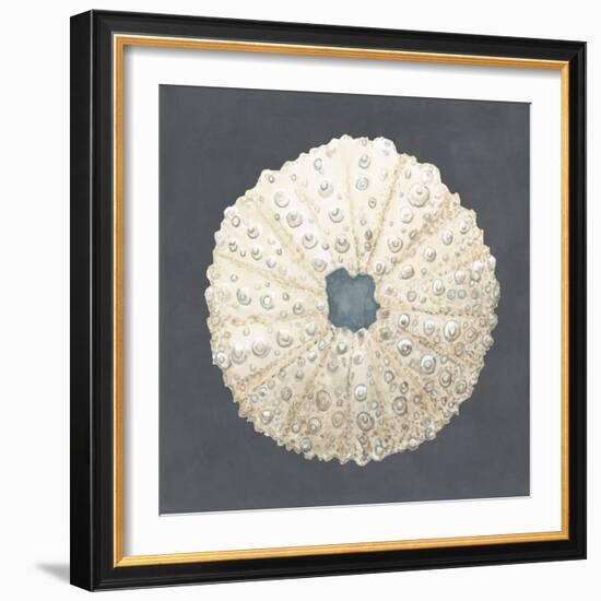 Shell on Slate VII-Megan Meagher-Framed Art Print