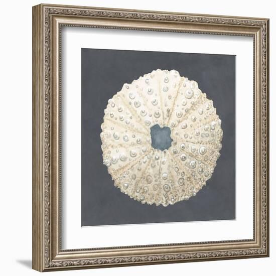 Shell on Slate VII-Megan Meagher-Framed Art Print