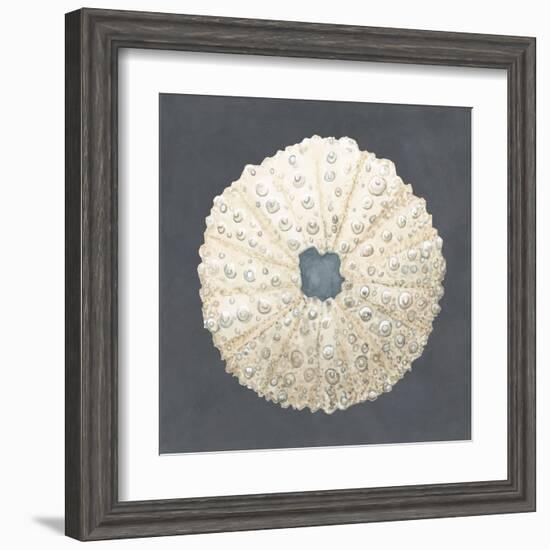 Shell on Slate VII-Megan Meagher-Framed Art Print