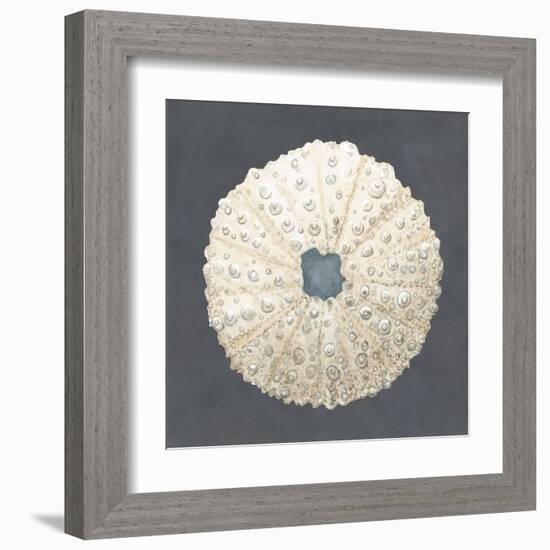 Shell on Slate VII-Megan Meagher-Framed Art Print