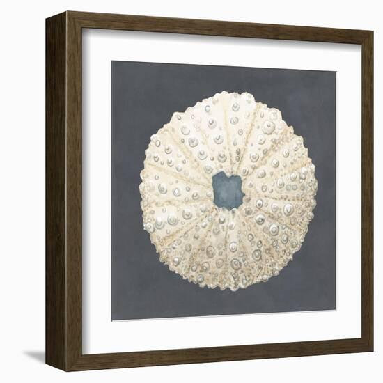 Shell on Slate VII-Megan Meagher-Framed Art Print