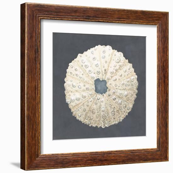 Shell on Slate VII-Megan Meagher-Framed Art Print