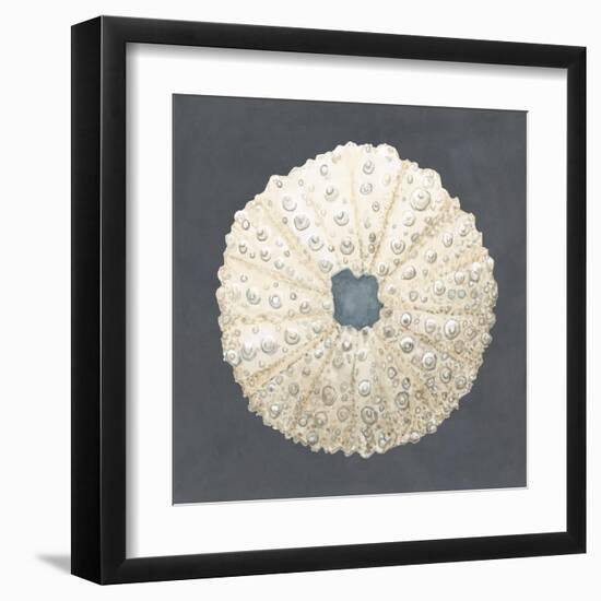 Shell on Slate VII-Megan Meagher-Framed Art Print