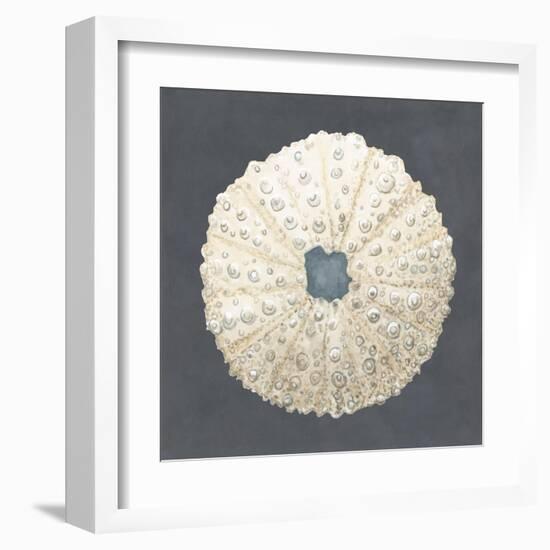 Shell on Slate VII-Megan Meagher-Framed Art Print