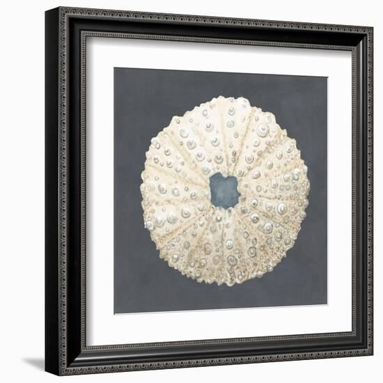 Shell on Slate VII-Megan Meagher-Framed Art Print