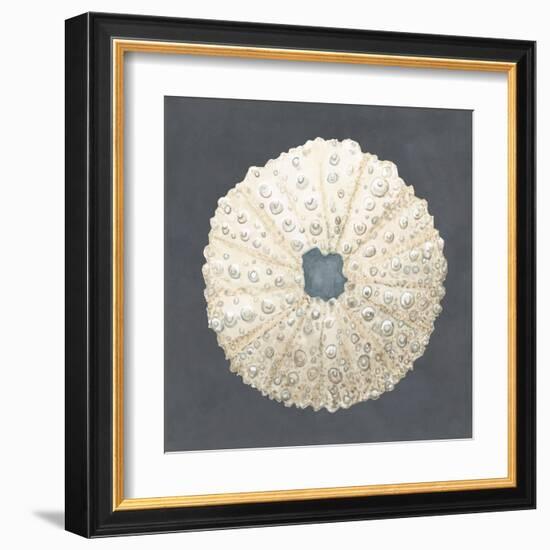 Shell on Slate VII-Megan Meagher-Framed Art Print