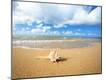 Premium Photographic Print
