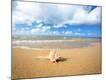 Premium Photographic Print