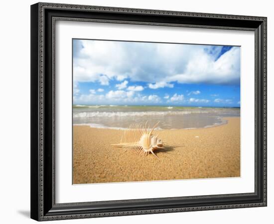 Shell on the Beach-null-Framed Photographic Print