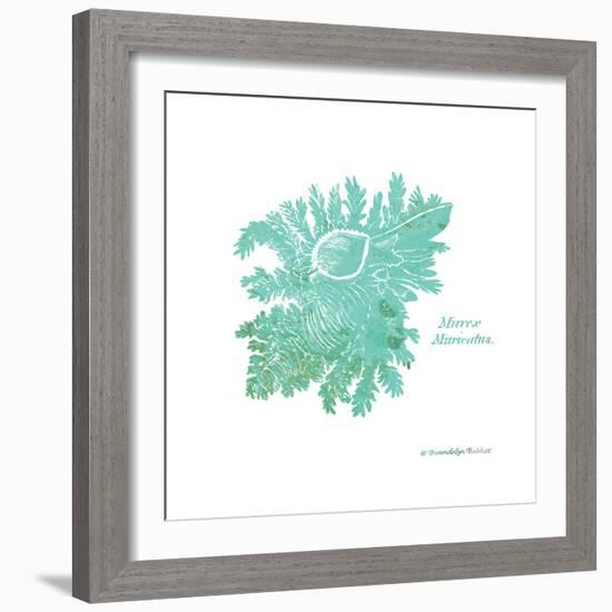 Shell on White I-Gwendolyn Babbitt-Framed Art Print