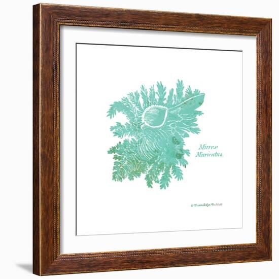 Shell on White I-Gwendolyn Babbitt-Framed Art Print