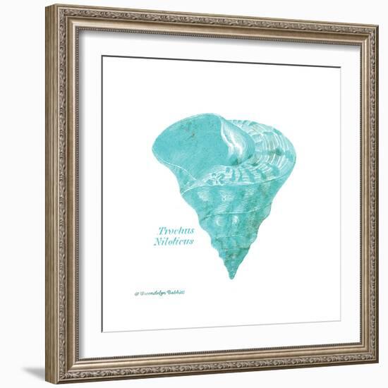 Shell on White III-Gwendolyn Babbitt-Framed Art Print