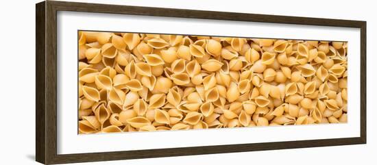 Shell Pasta-Steve Gadomski-Framed Photographic Print