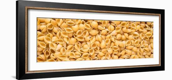 Shell Pasta-Steve Gadomski-Framed Photographic Print