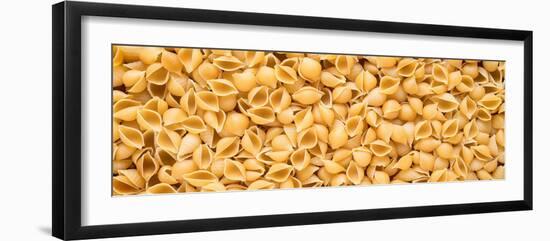 Shell Pasta-Steve Gadomski-Framed Photographic Print