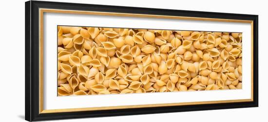 Shell Pasta-Steve Gadomski-Framed Photographic Print