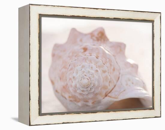 Shell Portrait I-Elena Ray-Framed Premier Image Canvas