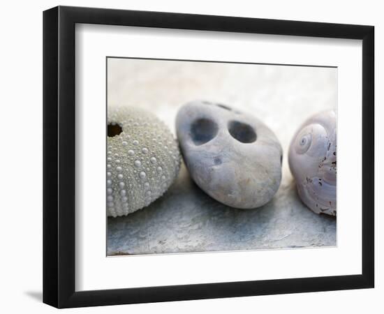 Shell Portrait IV-Elena Ray-Framed Photographic Print