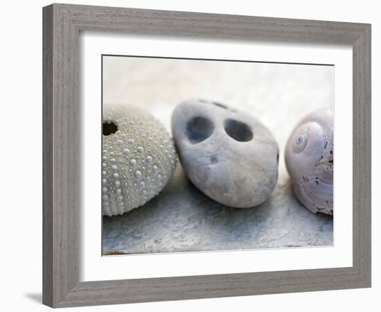 Shell Portrait IV-Elena Ray-Framed Photographic Print