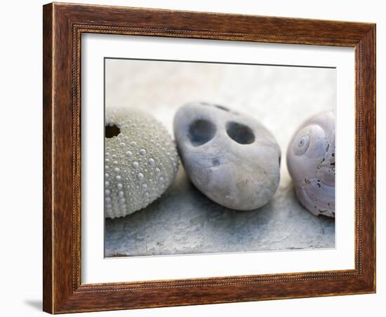 Shell Portrait IV-Elena Ray-Framed Photographic Print