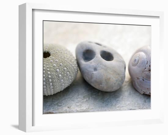 Shell Portrait IV-Elena Ray-Framed Photographic Print