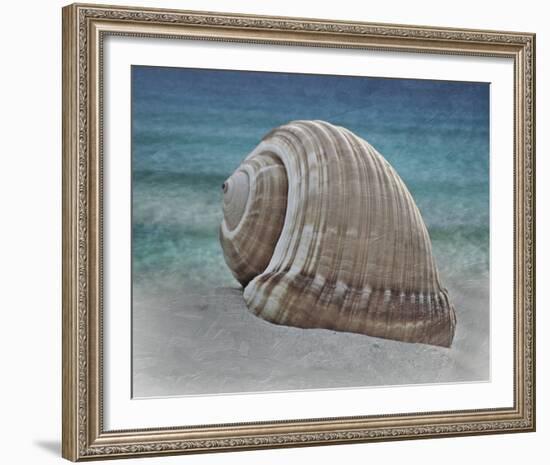 Shell Ray Soaking-Marcus Prime-Framed Photo