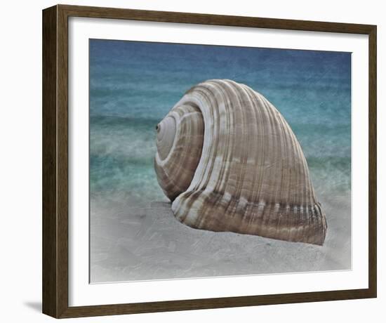 Shell Ray Soaking-Marcus Prime-Framed Photo