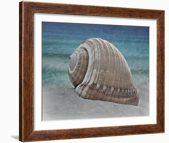 Shell Ray Soaking-Marcus Prime-Framed Photo