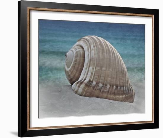 Shell Ray Soaking-Marcus Prime-Framed Photo