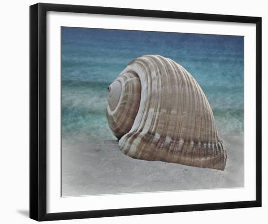 Shell Ray Soaking-Marcus Prime-Framed Photo