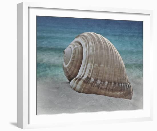 Shell Ray Soaking-Marcus Prime-Framed Photo