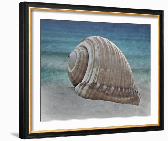 Shell Ray Soaking-Marcus Prime-Framed Photo