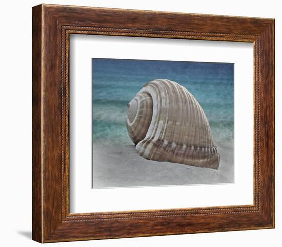 Shell Ray Soaking-Marcus Prime-Framed Photo