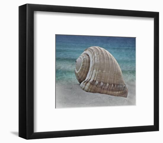 Shell Ray Soaking-Marcus Prime-Framed Photo