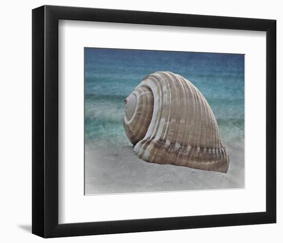 Shell Ray Soaking-Marcus Prime-Framed Photo